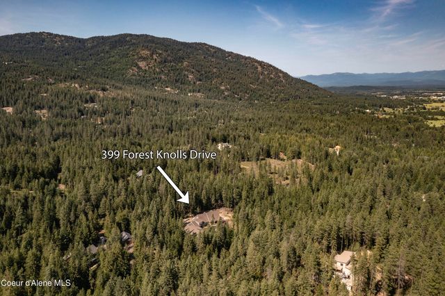 399 Forest Knolls Dr, Sandpoint, ID 83864