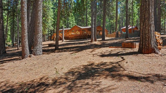 18500 W Inspiration Dr, Pioneer, CA 95666