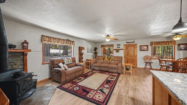 18500 W Inspiration Dr, Pioneer, CA 95666