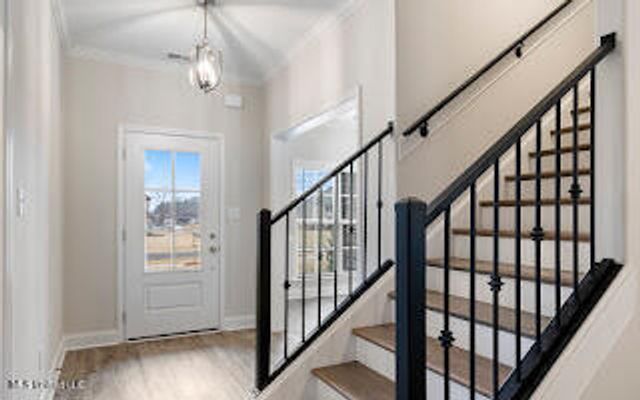 2526 Scott Meadows Lane, Hernando, MS 38632