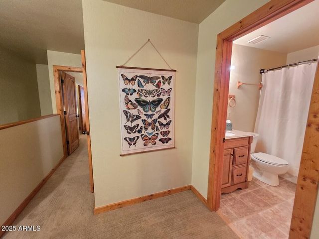 1460 S Adair Drive 62, Pinetop, AZ 85935