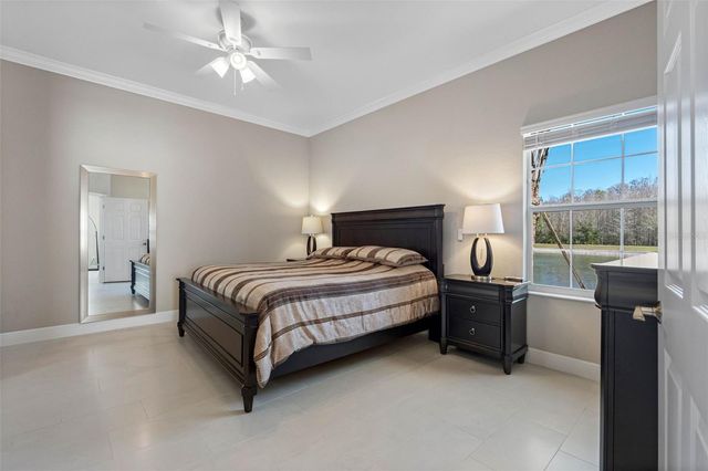 29800 ANAND VIHAR DRIVE, Wesley Chapel, FL 33543