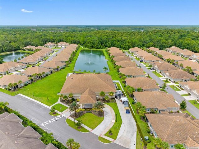 29800 ANAND VIHAR DRIVE, Wesley Chapel, FL 33543