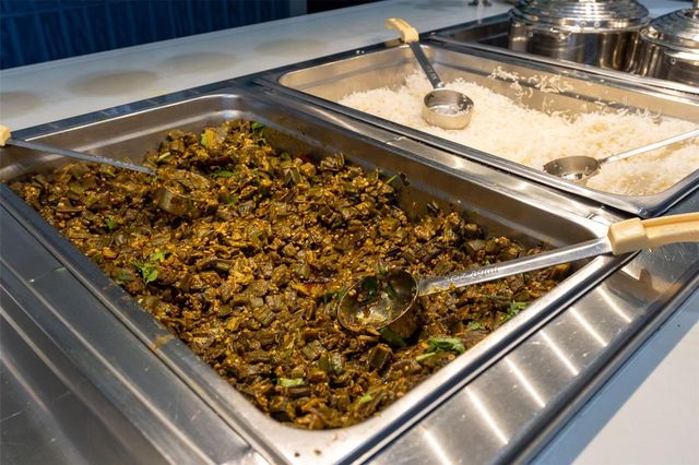 29800 ANAND VIHAR DRIVE, Wesley Chapel, FL 33543