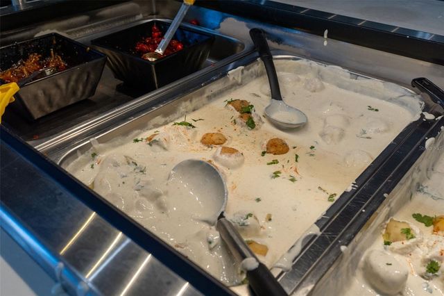 29800 ANAND VIHAR DRIVE, Wesley Chapel, FL 33543