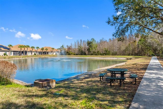 29800 ANAND VIHAR DRIVE, Wesley Chapel, FL 33543