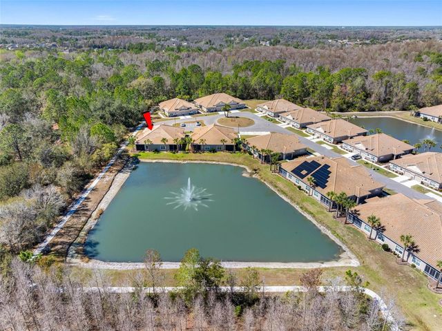 29800 ANAND VIHAR DRIVE, Wesley Chapel, FL 33543