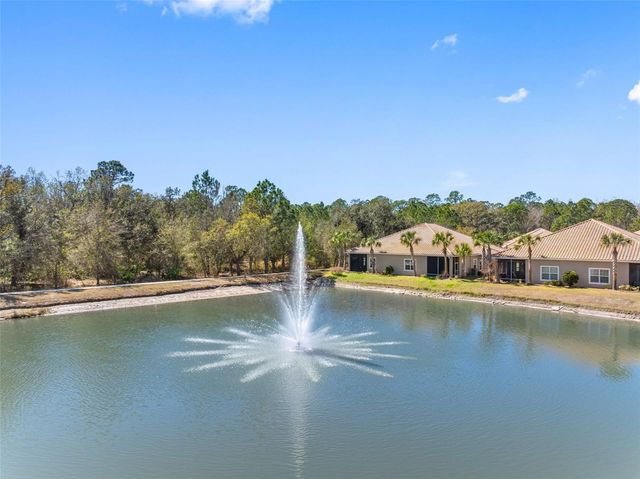 29800 ANAND VIHAR DRIVE, Wesley Chapel, FL 33543