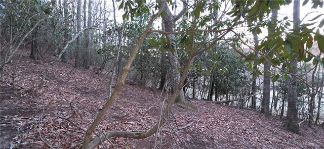 0 Air Bellows Gap Road, Sparta, NC 28675