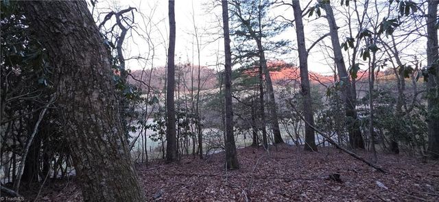 0 Air Bellows Gap Road, Sparta, NC 28675
