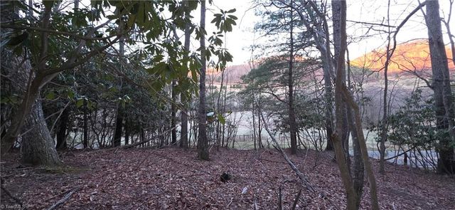 0 Air Bellows Gap Road, Sparta, NC 28675