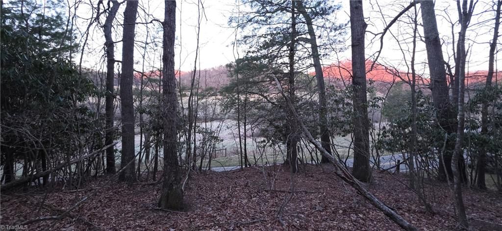 0 Air Bellows Gap Road, Sparta, NC 28675