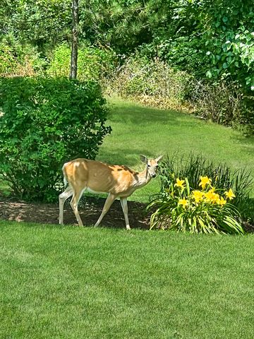 51 Crestview Drive, Oswego, IL 60543