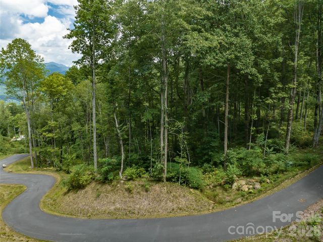 1394 Daydream Ridge, Swannanoa, NC 28778