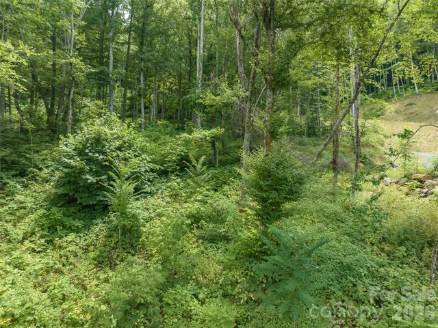 1394 Daydream Ridge, Swannanoa, NC 28778