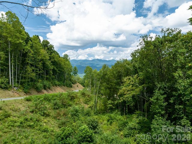 1394 Daydream Ridge, Swannanoa, NC 28778