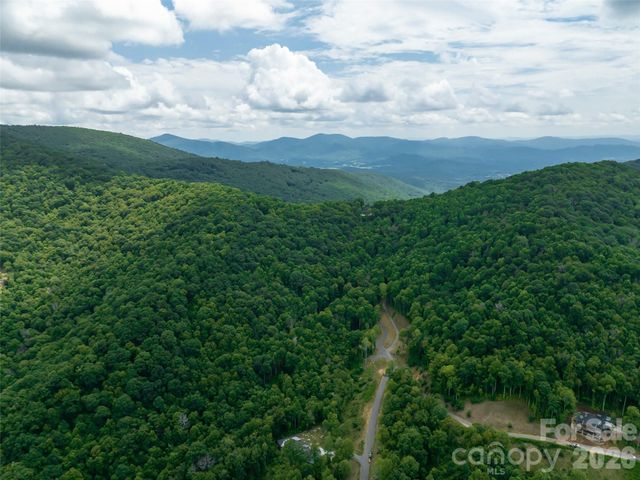 1394 Daydream Ridge, Swannanoa, NC 28778