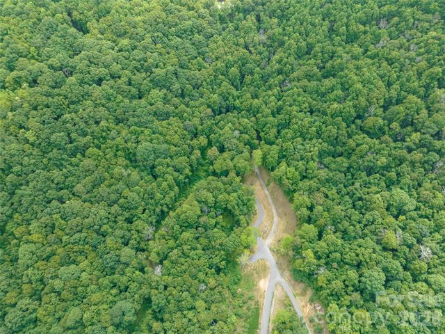 1394 Daydream Ridge, Swannanoa, NC 28778