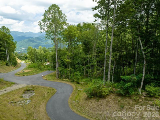1394 Daydream Ridge, Swannanoa, NC 28778