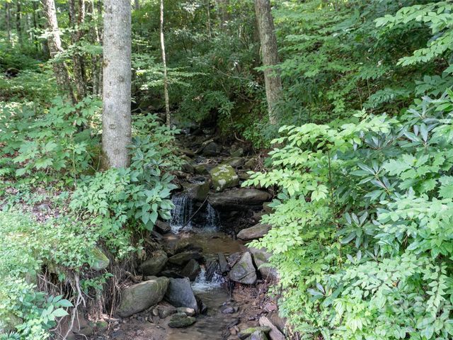 1394 Daydream Ridge, Swannanoa, NC 28778