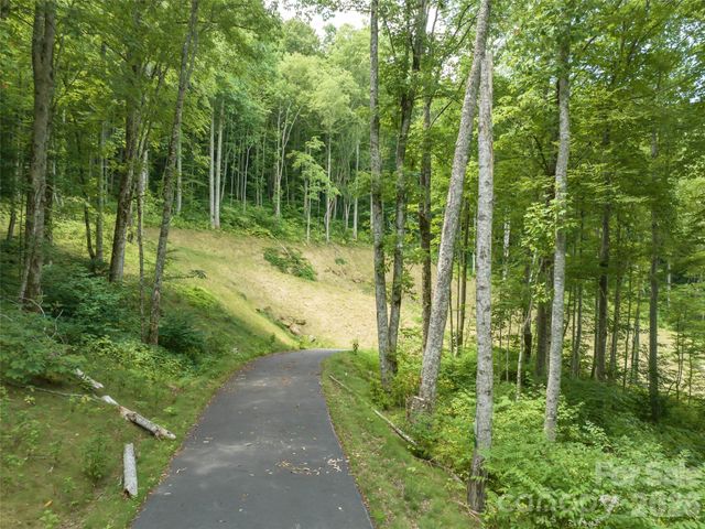 1394 Daydream Ridge, Swannanoa, NC 28778