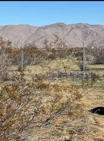 11061 Tujunga, Apple Valley, CA 92308