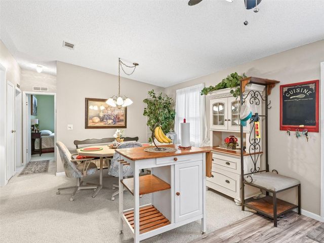 1809 DAFFODIL LANE, The Villages, FL 32159