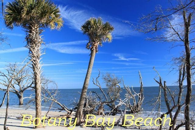 713 Sandpiper Ridge Road, Edisto Island, SC 29438