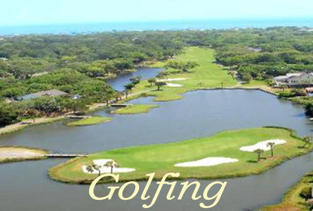 713 Sandpiper Ridge Road, Edisto Island, SC 29438