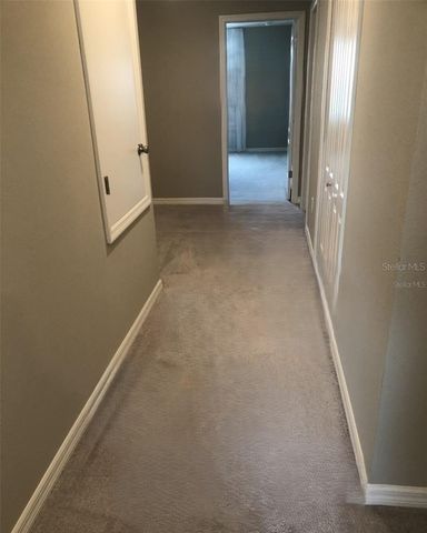 10908 BLUESTEM GRASS AVENUE, Tampa, FL 33610