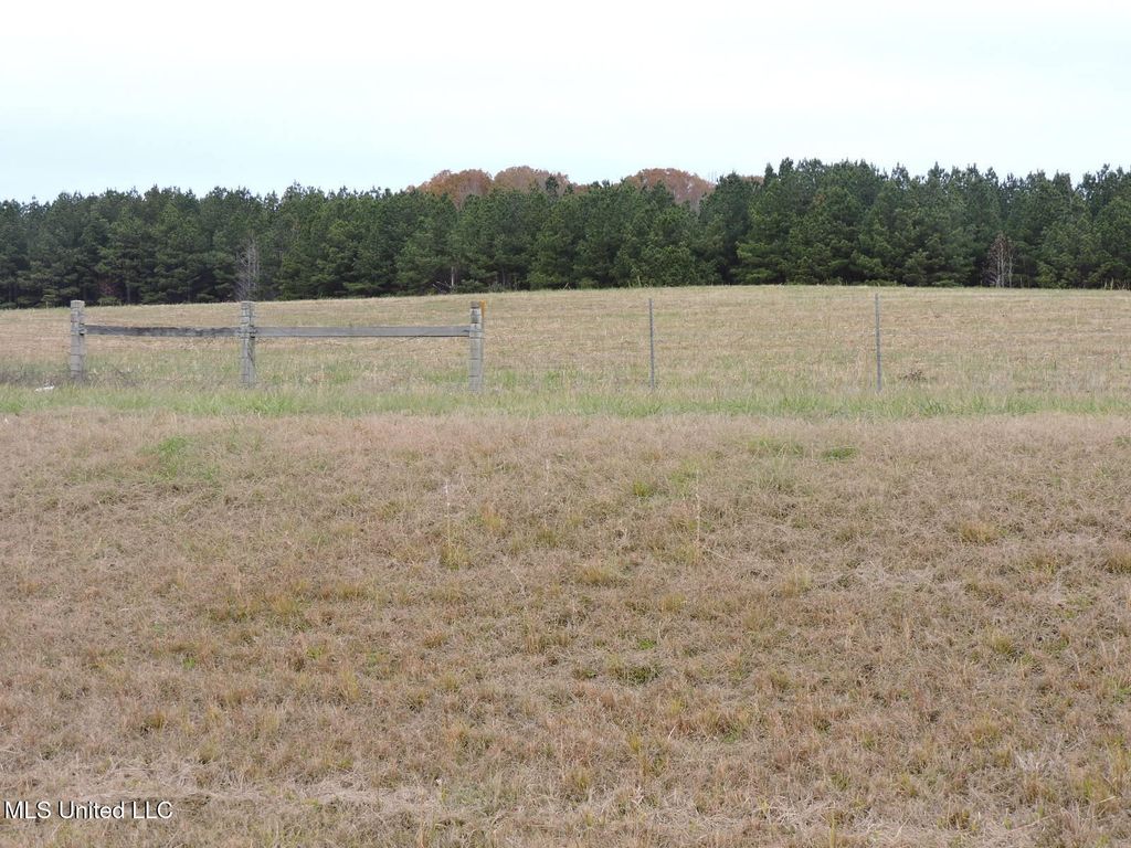 0 Fogg Rd, Nesbit, MS 38651 — photo 4
