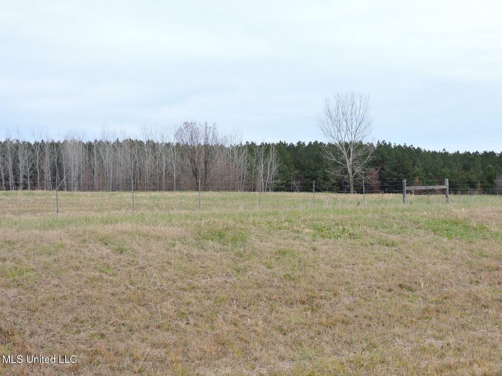 0 Fogg Rd, Nesbit, MS 38651 — photo 5