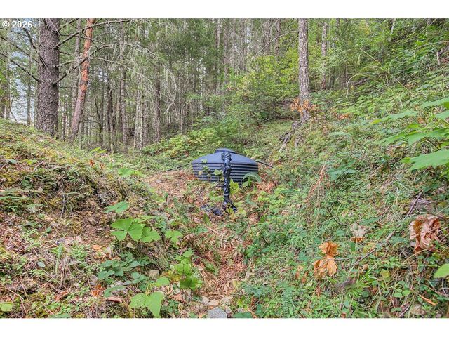 7007 PLACER Rd, Wolf Creek, OR 97497