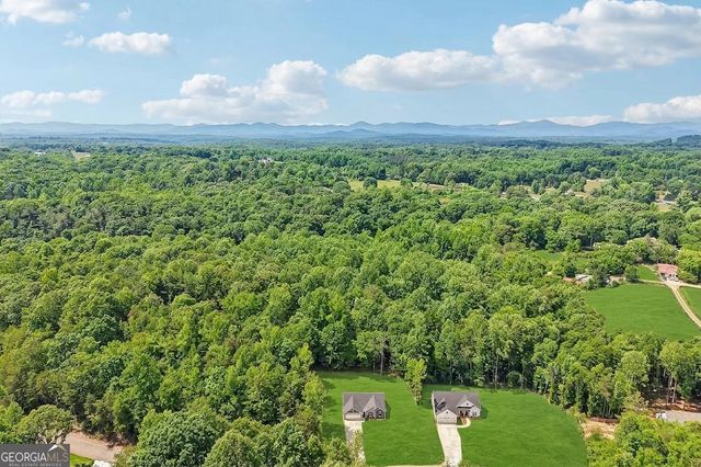 118 Rocky Branch Drive, Murrayville, GA 30564