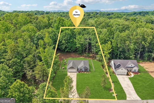 118 Rocky Branch Drive, Murrayville, GA 30564