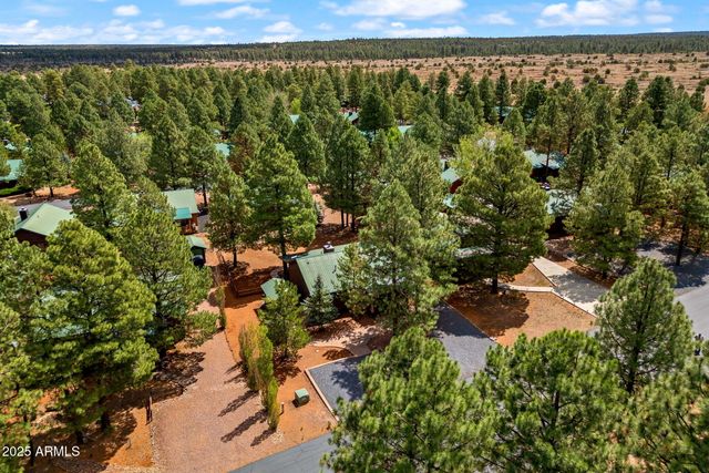 2692 PALOMINO Trail, Overgaard, AZ 85933