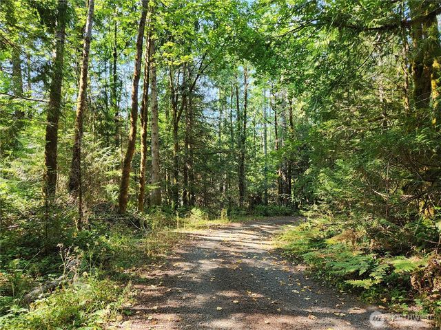 554 Briarwood Lane, Brinnon, WA 98320