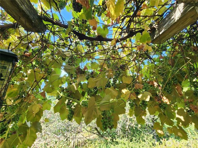 554 Briarwood Lane, Brinnon, WA 98320