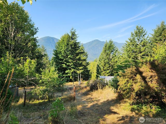 554 Briarwood Lane, Brinnon, WA 98320