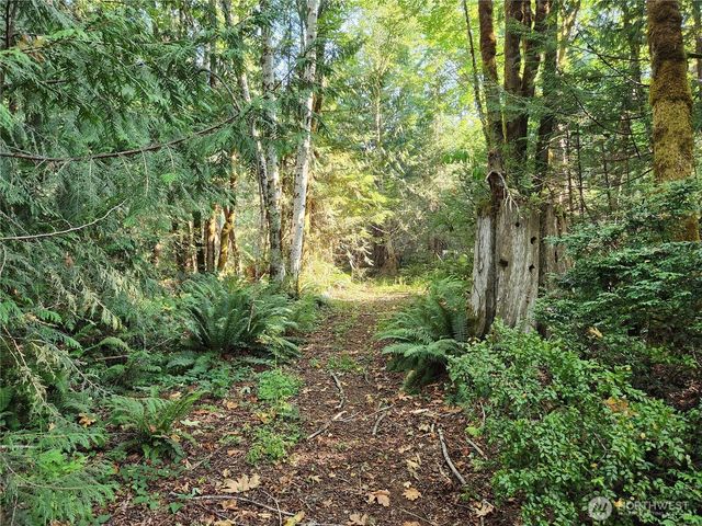 554 Briarwood Lane, Brinnon, WA 98320