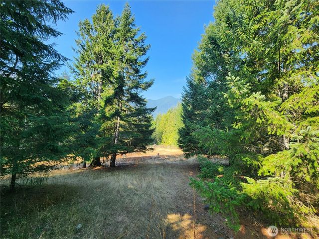 554 Briarwood Lane, Brinnon, WA 98320