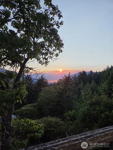 554 Briarwood Lane, Brinnon, WA 98320