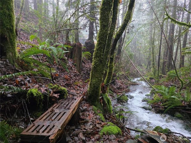 554 Briarwood Lane, Brinnon, WA 98320