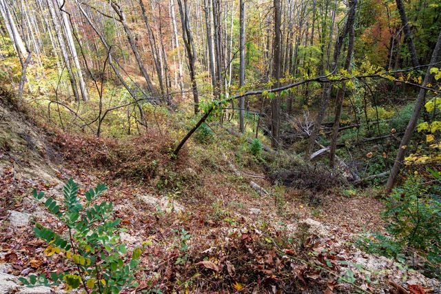 4B LOWER FLAT CREEK Road, Black Mountain, NC 28711