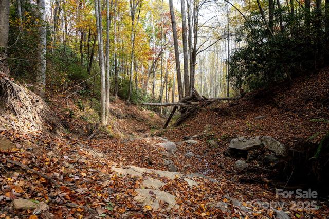 4B LOWER FLAT CREEK Road, Black Mountain, NC 28711