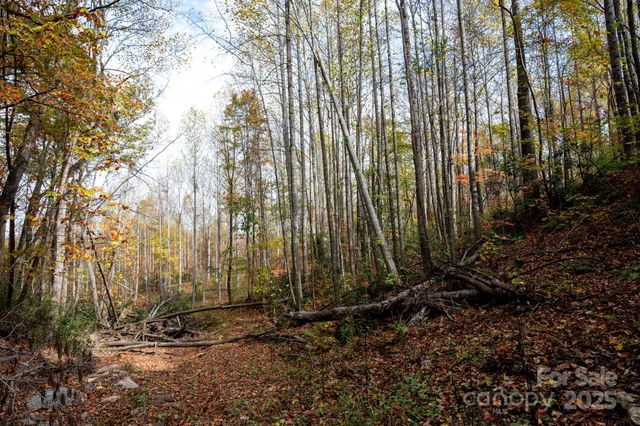 4B LOWER FLAT CREEK Road, Black Mountain, NC 28711