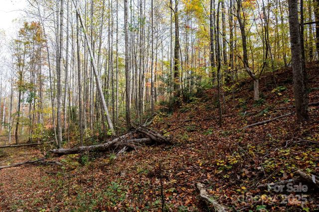 4B LOWER FLAT CREEK Road, Black Mountain, NC 28711