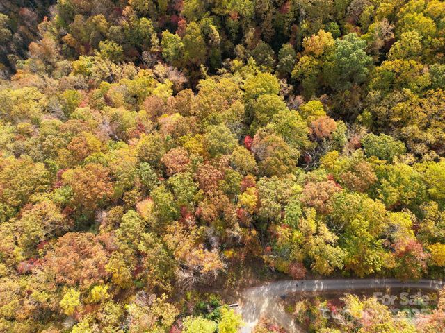 4B LOWER FLAT CREEK Road, Black Mountain, NC 28711