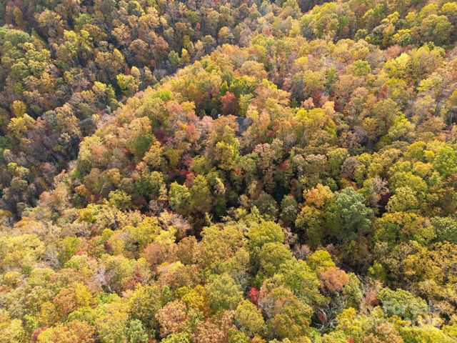 4B LOWER FLAT CREEK Road, Black Mountain, NC 28711