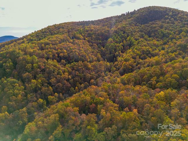 4B LOWER FLAT CREEK Road, Black Mountain, NC 28711